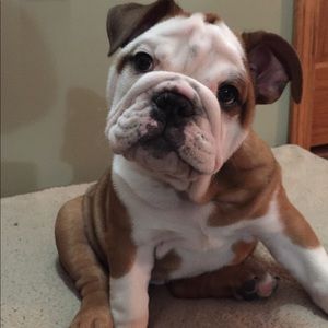 Meet your Posher, Jordan